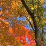 Fiction Publisher - ABOVE GROUND, a new fiction anthology with a twist - AVAILABLE AT AMAZON