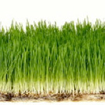 ABOVE GROUND, a new fiction anthology with a twist